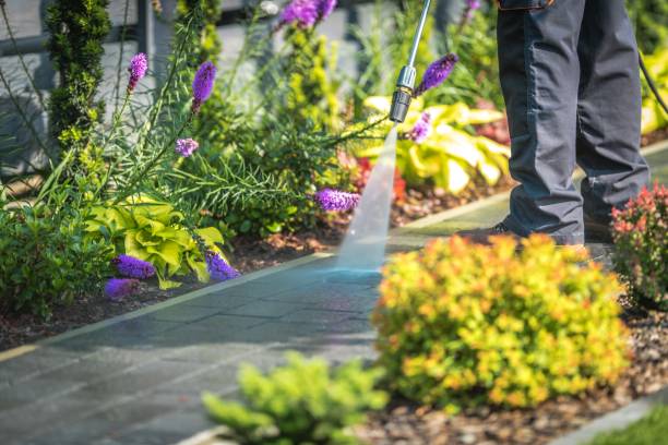 Pre-Holiday Cleaning in Fairwood, WA